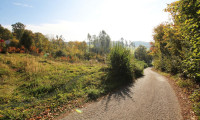 Grundstück - 4203, Altenberg bei Linz - Hanggrundstück in Altenberg