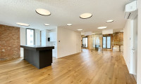 Büro / Praxis - 1100, Wien - Top ausgestattetes Loft in der Brotfabrik Wien! Klimatisiert!