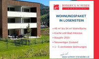 Wohnung - 4460, Losenstein - Wohnungspaket für Anleger - attraktive Rabatte möglich