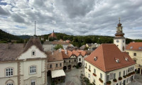 Büro / Praxis - 2340, Mödling - Klimatisiertes Büro mit Terrasse und Rundumblick