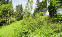 Grundstück - 5322, Hof bei Salzburg - Abbruchhaus mit Berg- und Grünblick – Grundstück in Hof bei Salzburg