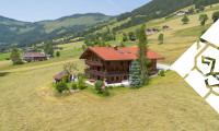 Haus - 6361, Hopfgarten im Brixental - Idyllische Ferienwohnung mit Freizeitwohnsitz,Wellnessbereich und Gym zu mieten
