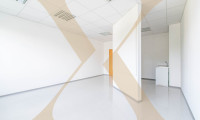 Büro / Praxis - 4600, Wels - Start-Up Bürofläche mit kostenlosen Parkplätzen im Zentrum von Wels/Lichtenegg zu vermieten!