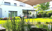 Haus - 2604, Theresienfeld - Exklusives Wohnerlebnis , modernes Niedrigenergiehaus - 204m2 Wohnfläche