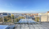 Wohnung - 1070, Wien - DACHWOHNUNG MIT DACHTERRASSE MIT FERNBLICK