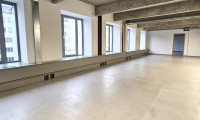 Büro / Praxis - 1030, Wien - 163m² Loft Office mit flexibler Raumgestaltung - Nähe Rennweg