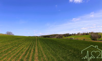 Grundstück - 7551, Stegersbach - Top Preis - Grundstück in Ruhelage mit Panoramablick zum Kauf!