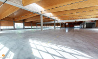 Halle / Lager / Produktion - 5082, Grödig - Neubau im Großformat :Unternehmens- standort im Salzburger Süden - Baurecht