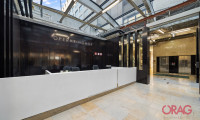 Büro / Praxis - 1010, Wien - Exklusive Büros im Opernringhof – Premium-Lage im Herzen von 1010 Wien zu mieten