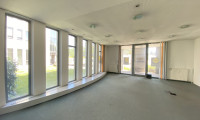 Büro / Praxis - 4020, Linz - Sehr praktisches und ausgesprochen günstig liegendes Büro - in 4020 Linz zu mieten