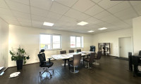 Büro / Praxis - 3462, Absdorf - Exklusives Büro - Wirtschaftspark Absdorf