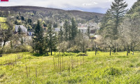 Grundstück - 3400, Klosterneuburg - Traumhaftes Hanggrundstück in Kierling, Klosterneuburg – sonnig & ruhig gelegen