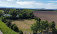 Grundstück - 7011, Siegendorf - Einmalige Gelegenheit: Großzügiges Baulandgrundstück umgeben von Äckern mit Weitblick. Ideal für den Bau eines Traumhauses in ruhiger, naturnaher Lage