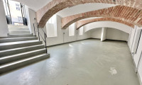 Halle / Lager / Produktion - 1190, Wien - Lager in der Nähe des Bahnhofs Heiligenstadt – frisch saniert, Erstbezug!