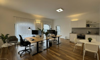 Büro / Praxis - 4400, Steyr - Moderne Bürofläche in Steyr: 40m² für 650,00 € mtl.
