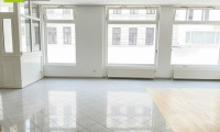 Büro / Praxis - 1180, Wien - Ordination, Geschäftslokal oder Büro in bester Lage mit voll ausgestatteter 55m² Wohnung und 2 TG Plätze