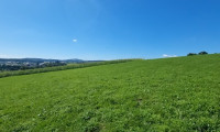 Grundstück - 4223, Bodendorf - Traumimmobilie mit Fernblick und Grünblick in Bodendorf, OÖ - 903m² Landwirtschaft!