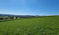 Grundstück - 4223, Bodendorf - Traumimmobilie mit Fernblick und Grünblick in Bodendorf, OÖ - 812m² Landwirtschaft!