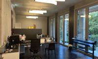 Büro / Praxis - 8010, Graz - Loft/Atelier in Ruhelage!