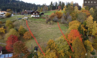 Grundstück - 9212, Techelsberg am Wörther See - | BAUGRUND FÜR IHR EIGENHEIM | NAHE WÖRTHERSEE | 1566 m² GSTFL | UNBEBAUT |