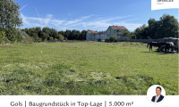 Grundstück - 7122, Gols - Gols | Baugrundstück in Top-Lage | 5.000 m²