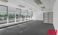 Büro / Praxis - 4020, Linz - ARBEITEN IN EXKLUSIVER LAGE - FREI GESTALTBARE BÜROFLÄCHE - 2.OG