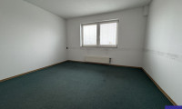 Büro / Praxis - 1220, Wien - Preiswerte 25m² Büroeinheit mit Hauszentralheizung Nähe Rautenweg - 1220 Wien