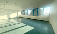 Büro / Praxis - 2351, Wiener Neudorf - Trieser Straße - IKANO 75qm Bürofläche