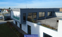 Halle / Lager / Produktion - 4614, Marchtrenk - Gewerbeliegenschaft mit Büro-, Produktions- und Lagerflächen in Marchtrenk
