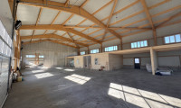Halle / Lager / Produktion - 3100, St. Pölten - Moderne Halle in St. Pölten I 280 m² I Erstbezug I vielseiti nutzbar I eigene Stellplätze