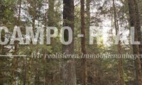 Grundstück - 7422, Riedlingsdorf - CAMPO-BIETERVERFAHREN:  WALD-Grundstücke im Paket