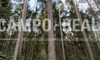Grundstück - 7400, Unterschützen - CAMPO-BIETERVERFAHREN: WALD-Grundstücke im Paket