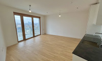Wohnung - 1100, Wien - moderne 1-Zimmer Wohnung (südseitig) in hoher Stockwerkslage - ab sofort verfügbar