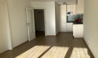 Wohnung - 5071, Viehhausen - 2-Zimmer Dachgeschosswohnung mit Loggia in Wals-Viehhausen!