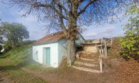 Land und Forstwirtschaft - 2011, Unterhautzental - WEINKELLER mit kleinem Presshaus in Unterhautzenthal zu kaufen