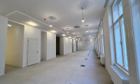 Büro / Praxis - 1010, Wien,Innere Stadt - 360° TOUR // GROSSRAUM - ALTBAUBÜRO nahe RUDOLFSPLATZ