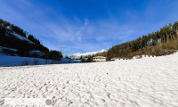 Grundstück - 6075, Tulfes - NAHE INNSBRUCK : Sonniges Baugrundstück mit ca. 430m² im GRÜNEN - PERFEKT für die ganze FAMILIE!