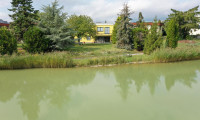 Haus - 2601, Eggendorf - Ganz seltene Gelegenheit - Haus am Teich auf Eigengrund, 2 Wohneinheiten möglich