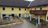 Land und Forstwirtschaft - 4502, Sankt Marien - Traumhafte Reitanlage mit Wohnhaus