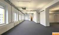 Büro / Praxis - 1100, Wien - SCHULUNGS - TRAININGSRAUM/RÄUME, BÜRO, PRAXIS IN DER FERNKORNGASSE