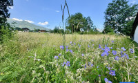 Grundstück - 9903, Oberlienz - Erfüllen Sie sich Ihren Wohntraum