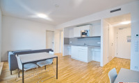 Wohnung - 1100, Wien - möblierte Apartments zur Kurzzeitmiete (2-12 Monate) / furnished apartments for short-term rental (2-12 months)