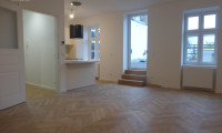 Wohnung - 1010, Wien,Innere Stadt - ERSTBEZUG - nahe Stephansplatz - Stadtapartment mit fast 27 m² großer Terrasse im Dachgeschoß!