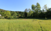 Grundstück - 9081, Reifnitz - Baugrundstück mit See-Nähe und vielseitigen Nutzungsmöglichkeiten