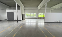 Halle / Lager / Produktion - 2722, Weikersdorf am Steinfelde - Schnäppchen! Hallen (5.500m²) und Büro für Eigennutzer 2 Minuten entfernt von der A2 in Weikersdorf/Wr. Neustadt