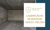 Sonstige - 3100, St. Pölten - Lagerraum zur Miete - Optimal zugänglich