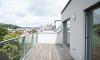 Wohnung - 1190, Wien - Schöne Dachterrassenwohnung mit Fernblick