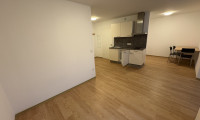 Wohnung - 1220, Wien - Apartments mit Küchenzeile - in 1220 Wien zu mieten