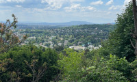 Haus - 1180, Wien - Top Aussichtslage am Schafberg!