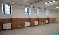 Büro / Praxis - 1080, Wien - Repräsentatives, generalsaniertes Souterrain-Loft - Außergewöhnlich und vielseitig Nutzbar!